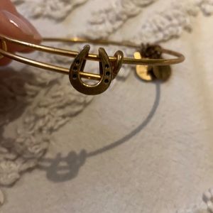 Alex and Ani horseshoe bracelet